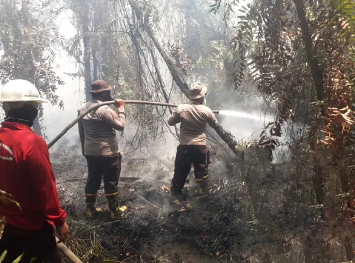 PTPN IV PalmCo Perkuat Satgas Atasi Karhutla di Kalimantan hingga Sumatra