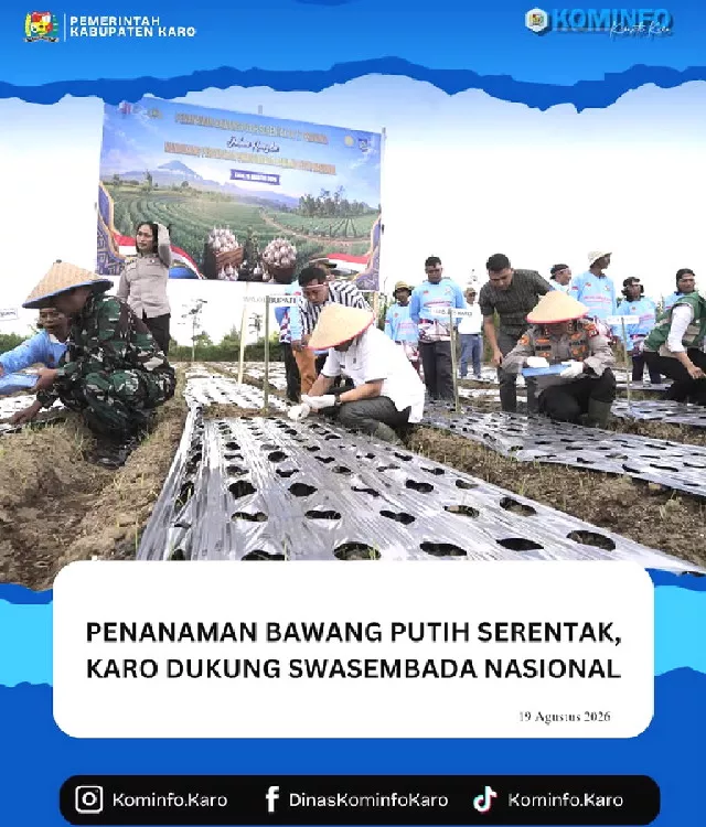 Penanaman Bawang Putih Serentak Karo Dukung Swasembada Nasional