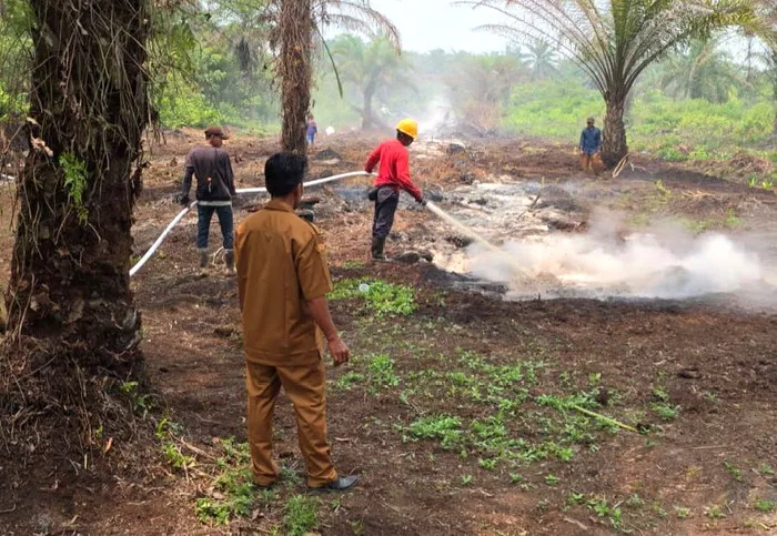 Personel Damkar PTPN IV Regional III Bantu Atasi Karhutla di Areal Masyarakat