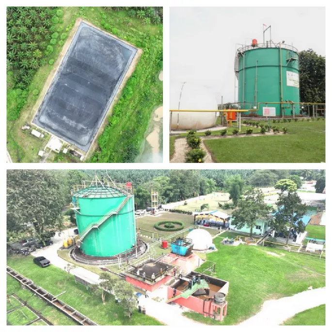 Hari Ozon Sedunia, Enam PTBg PTPN IV Regional III Tekan Emisi 88.608 Ton CO2e per Tahun
