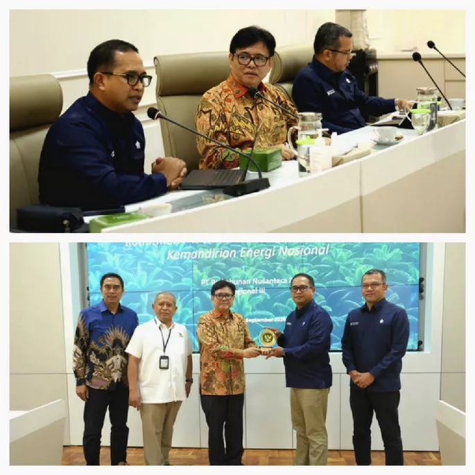Sambut Dewan Energi Nasional, PTPN IV PalmCo Komitmen Optimalisasi EBT Berkelanjutan