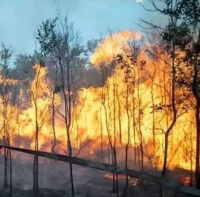 Makin Ngeri dan Dahsyat, Hotspot di Pulau Sumatera Hari Ini Meningkat Jadi 2.787