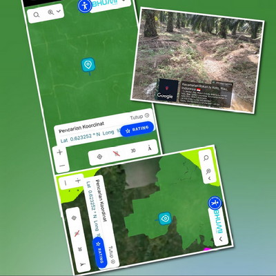 Kebun sawit PT ANS terpantau ditanami di pinggir DAS sungai di Desa Koto Ruang Rohul Riau.