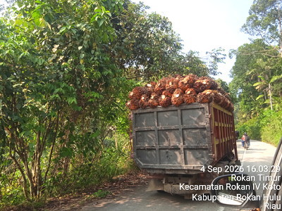 Sawit dari kawasan Bukit Suligi