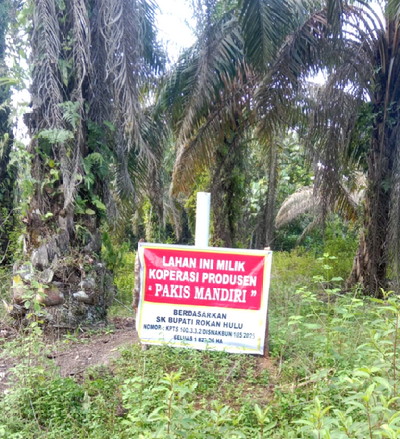 Kebun sawit Edi Karupuak 30 ha di Desa Tanjung Medan, Rokan IV Koto, Rohul, Riau dipasangi plang kalim sepihak Koperasi Produsen Pakis Mandiri pimpinan ketuanya Daliusman, adakah legal standing lengkap koperasi masalah lahan perkebunan?