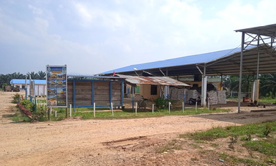 Perkantoran PT Anugrah Niaga Sawindo (PT ANS) di Desa Koto Ruang Kecamatan Rokan IV Koto, Rohul, Riau. (azf)