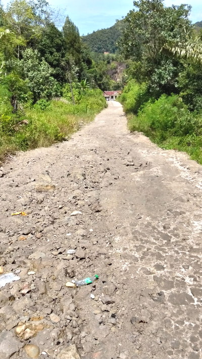 Penampakan ruas jalan dari Desa Janji menjelang jembatan Simarhilang. (nes)