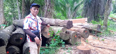 Tim investigasi menemukan kayu log berserakan di tengah hutan di pinggir Sungai Rokan Desa Koto Ruang Kecamatan Rokan IV Koto, Rohul, Riau, Kamis (17/9/2026).