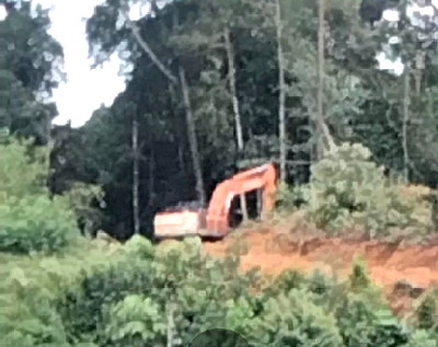 SP2HP Polres Rohul Temukan Peristiwa Pidana Pengrusakan Kebun Sawit, Naik ke Penyidikan, Akan Ada Tersangka?