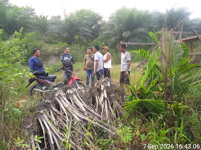 SP2HP Polres Rohul Temukan Peristiwa Pidana Pengrusakan Kebun Sawit, Naik ke Penyidikan, Akan Ada Tersangka?
