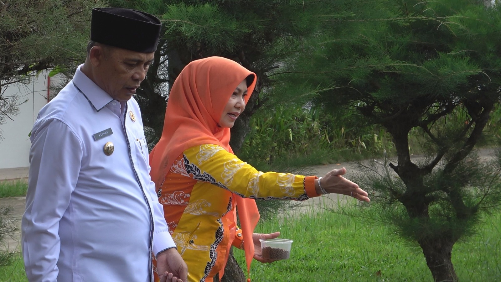 Bupati Inhil Gencarkan Gerakan Menanam di Pekarangan
