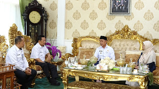 Bupati Inhil Herman Terima Dua Penghargaan Dari Kementerian Keuangan RI