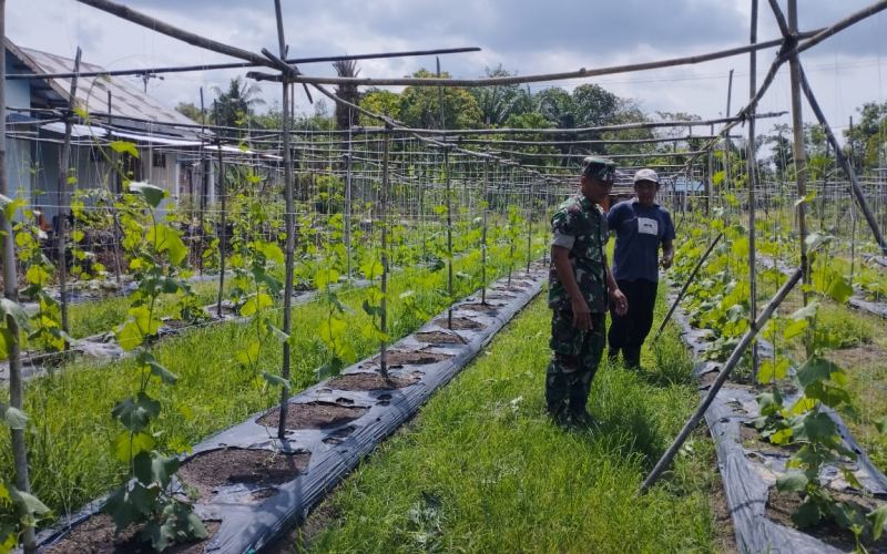 Pelda Tarmin Aktif Dampingi Warga Kelola Pertanian Produktif di Lubuk Gaung