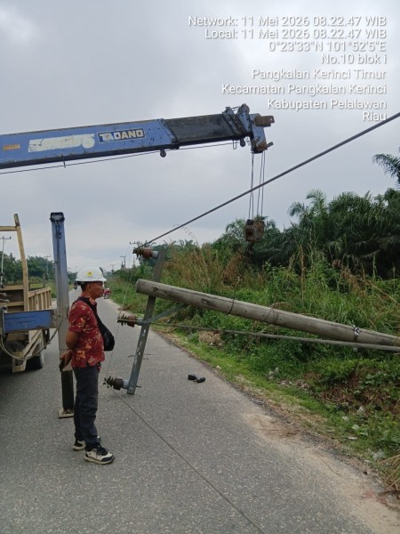 Tiang Listrik Tumbang di Jalan Engku Raja Lela Putra, Sejumlah Wilayah di Pangkalan Kerinci Padam