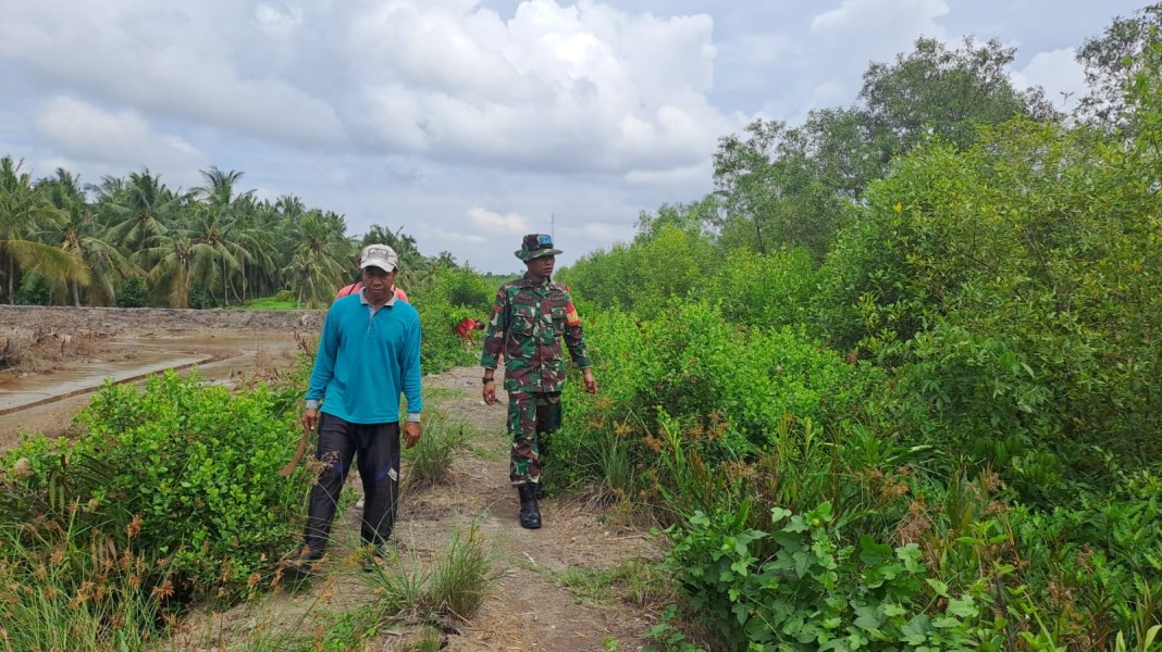 Cegah Karhutla, Babinsa Koramil 06/Kateman Laksanakan Patroli di Desa Kuala Selat