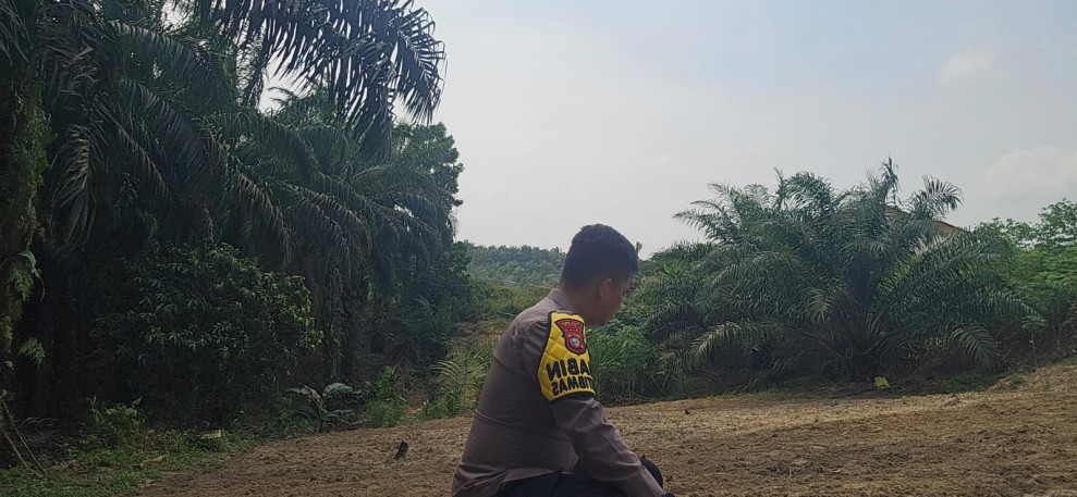 Polsek Minas Dampingi Kelompok Tani Bersihkan Lahan, Siapkan Penanaman Jagung Pipil Kuartal II