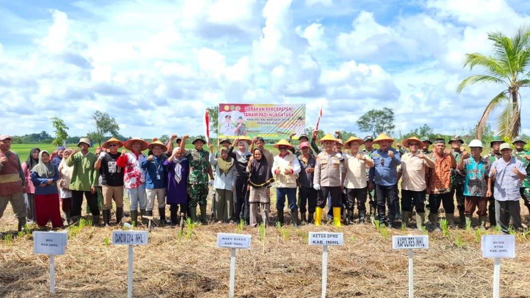 Dukung Swasembada Pangan, Dandim 0314/Inhil Hadiri Penanaman Padi Serentak di Tempuling