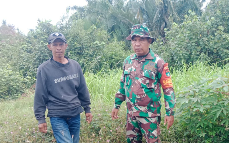 Babinsa Purnama Intensifkan Patroli Karhutla dan Dukung Ketahanan Pangan Warga