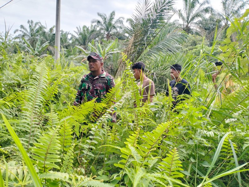 Babinsa Serma Risman Girsang Gelar Patroli Karhutla di Sungai Selodang
