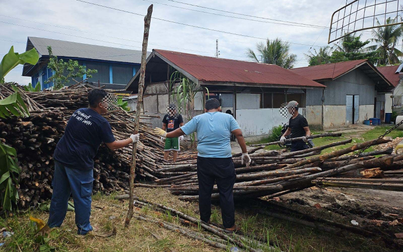 Operasi Gabungan Bea Cukai Bongkar Penyelundupan Kayu Teki dan PMI Ilegal ke Malaysia