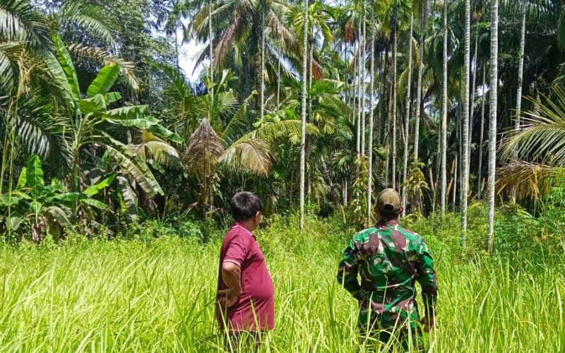 Cegah Karhutla, Babinsa Ajak Warga Sungai Sembilan Peduli Lingkungan