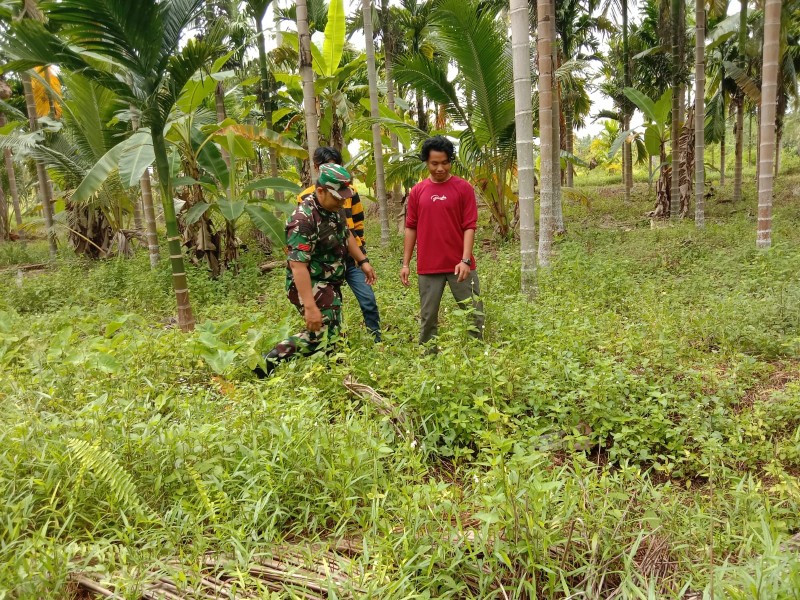 Babinsa Koramil 06/Kateman Gelar Patroli Tapal Batas di Bandar Sri Gemilang, Pastikan Wilayah Aman