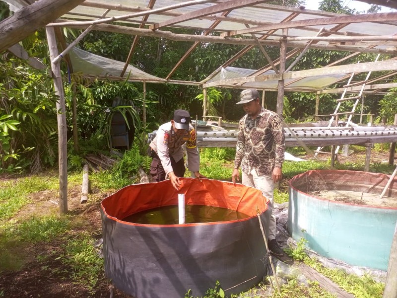 Polsek Merbau Sambangi Peternak Ikan, Dukung Ketahanan dan Swasembada Pangan Nasional