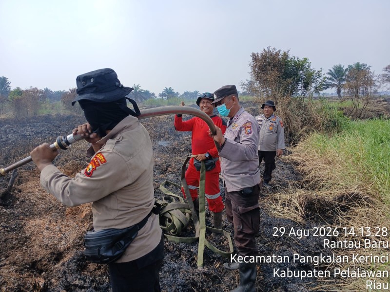 Hari Ketujuh Karhutla Pelalawan, 642 Hektare Lahan Terbakar dan Titik Api Masih Aktif