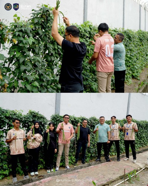 Rutan Dumai Panen Kangkung dan Kacang Panjang, Perkuat Program Ketahanan Pangan Pemasyarakatan