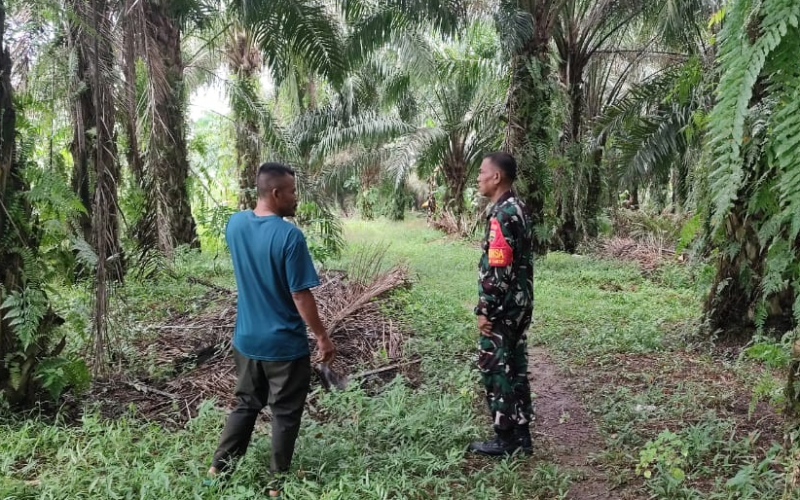 Babinsa Koramil 03 Sei Sembilan Gencarkan Patroli dan Sosialisasi Cegah Karhutla di Batu Teritip
