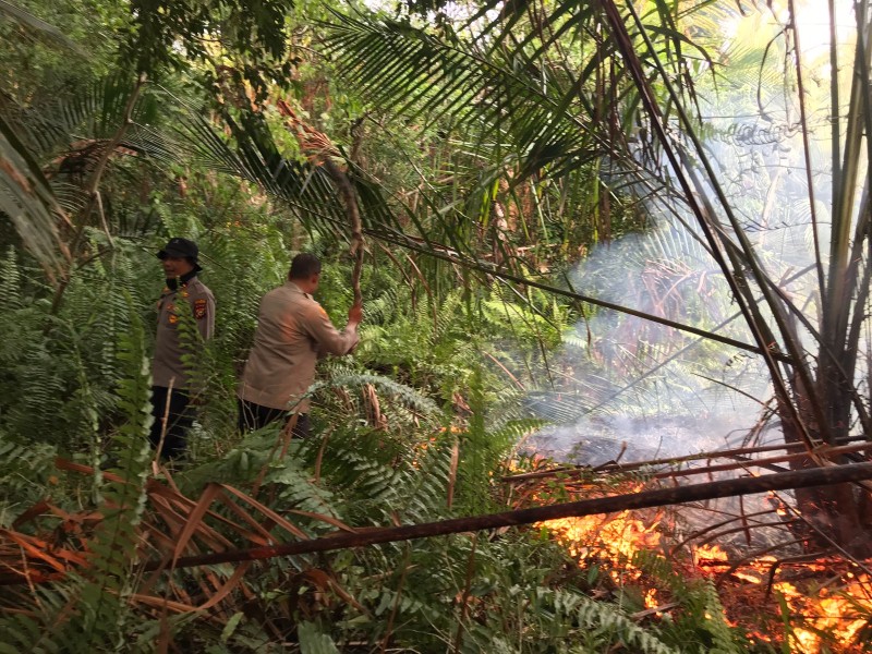 Polres Meranti Gerak Cepat Padamkan Karhutla di Desa Insit, Call Center 110 Jadi Pintu Laporan Warga