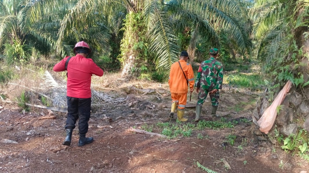 Babinsa Sertu Joko Purnomo Gelar Patroli Karhutla di Kampung Bencah Umbai, Siak