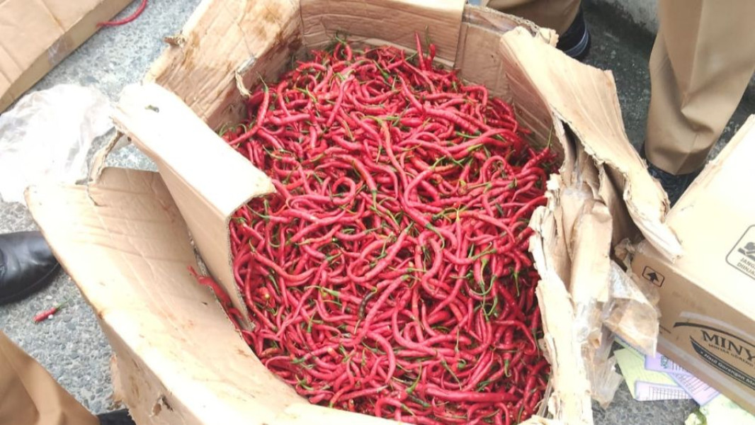 Tak Usah Panik! Pemprov Riau Datangkan 1 Ton Cabai Merah Dari Yogya, Rp58 Ribu per Kg