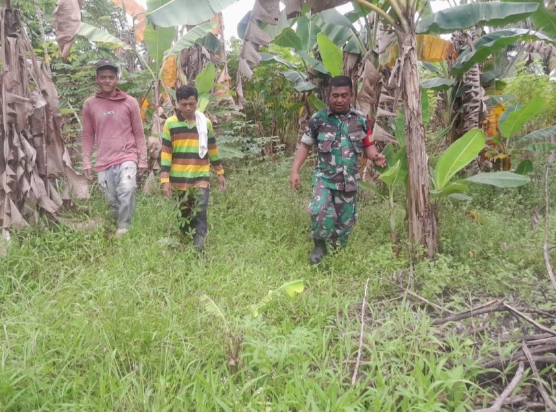 Sertu Venus Luberto Gelar Patroli Karhutla di Perawang Barat, Tidak Ditemukan Titik Api
