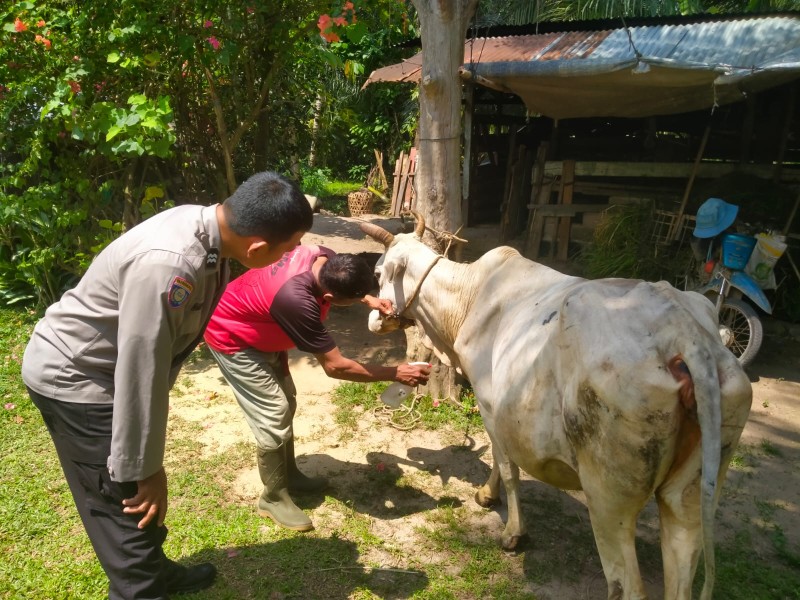 Bhabinkamtibmas Polsek Pasir Penyu Dorong Warga Manfaatkan Pekarangan untuk Perkuat Ketahanan Pangan