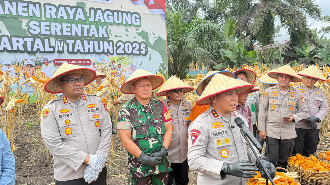 Wujudkan Swasembada Pangan, Polda Riau Panen Raya Jagung Serentak di Kampar