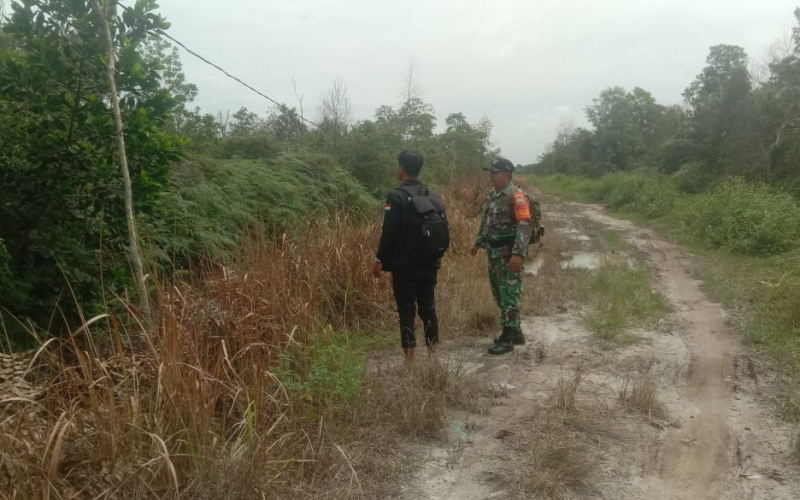 Babinsa Teluk Makmur Patroli Karhutla di Titik Rawan