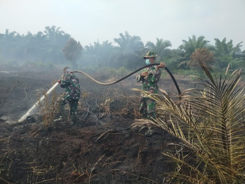 Karhutla Bangsal Aceh Masuk Hari Kedua, Titik Api Nihil Tim Gabungan Terus Lakukan Pendinginan