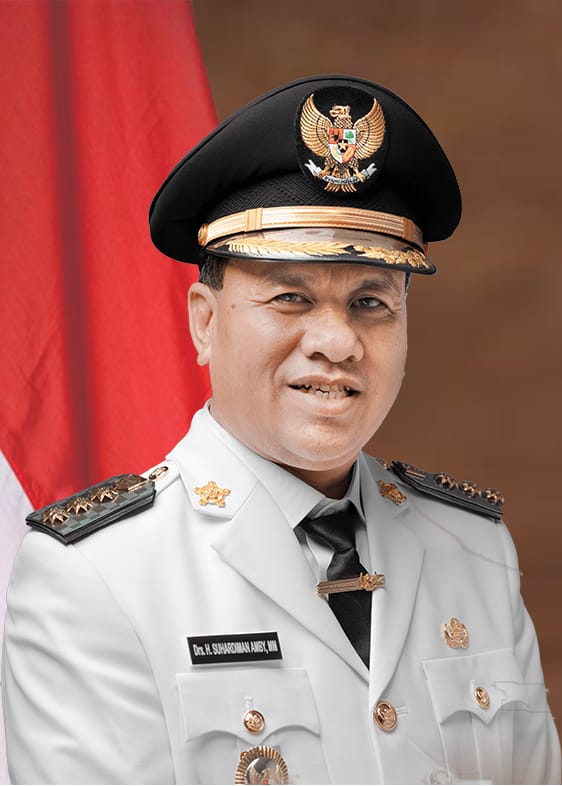 Jikalahari Dukung Ketegasan Dua Bupati di Riau Tertibkan Perusahaan Sawit Bermasalah