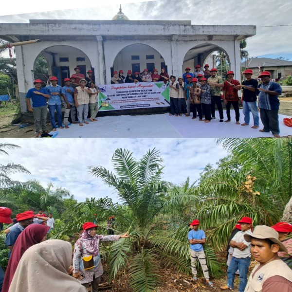 ITP2I Dorong Petani Swadaya Tingkatkan Produktivitas Sawit Lahan Gambut dengan Teknologi Hatch and Carry Mobile