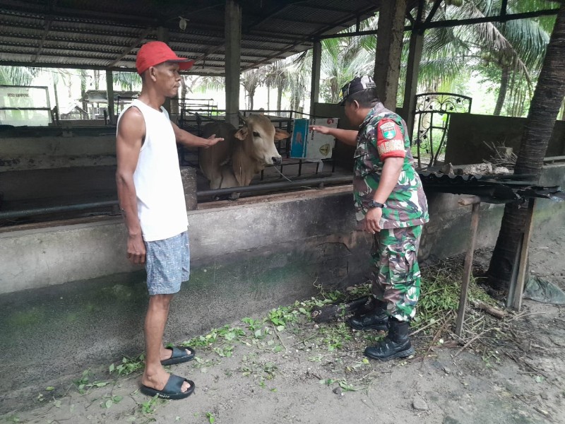 Babinsa Sertu Venus Luberto Dampingi Tim URC Cegah PMK di Perawang Barat
