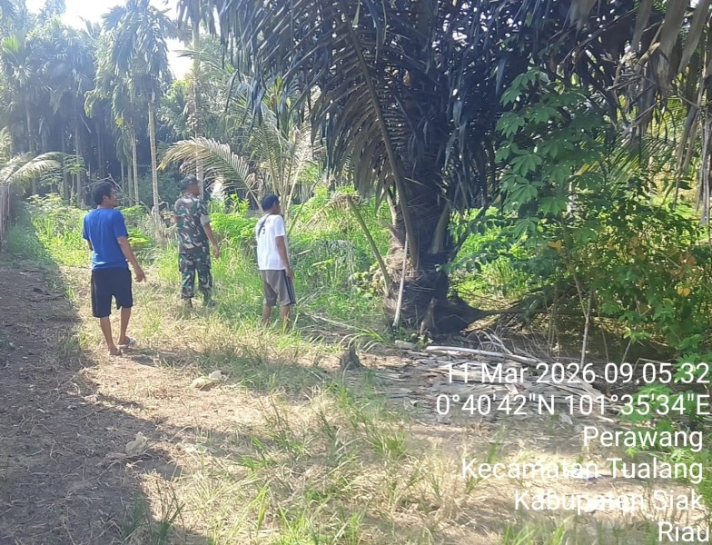 Serka Pardosi Patroli Karhutla di Perawang, Pastikan Wilayah Tualang Nihil Titik Api