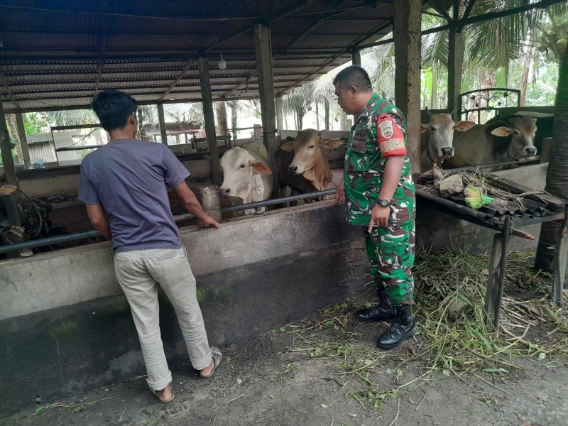 Babinsa Koramil 04/Perawang Bersama URC Lakukan Surveilans PMK di Perawang Barat