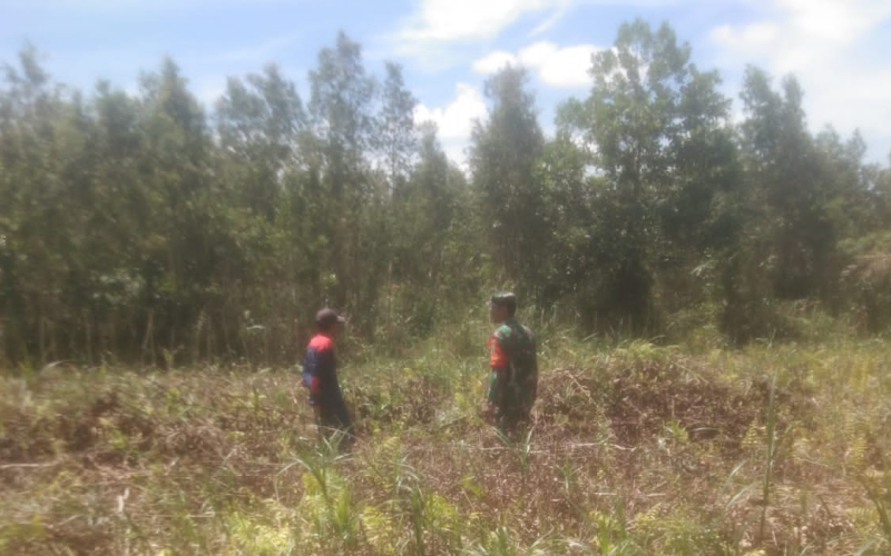 Pencegahan Karhutla Melalui Patroli Rutin oleh Babinsa Sertu Ramli