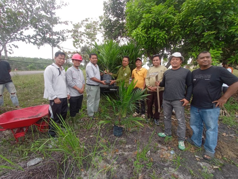 Camat Bunut Bersama APDESI dan Pegawai Gelar Gotong Royong Tanam Sawit untuk Kebun Kantor