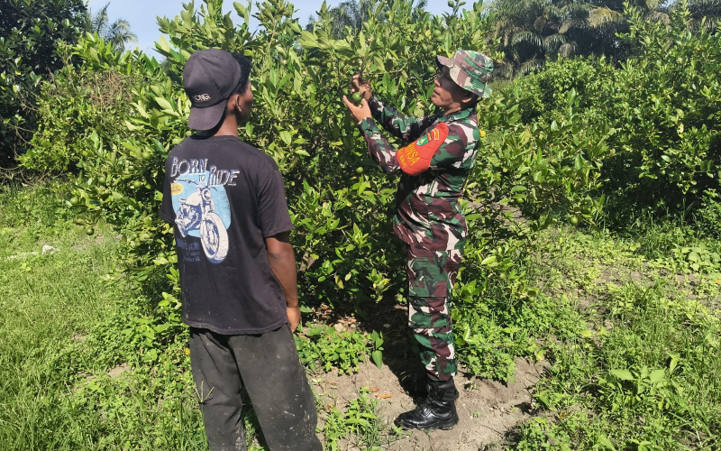 Sertu Arjuna Intensifkan Patroli Rawan Karhutla di Dumai Selatan