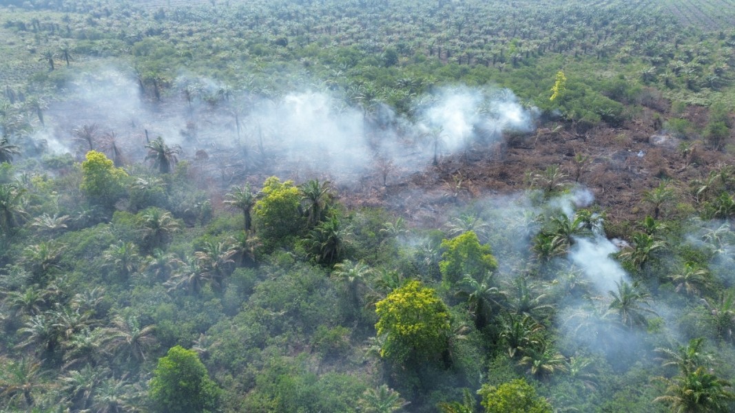 TNI-BPBD Padamkan Karhutla di Mundam, 1 Hektare Lahan Berhasil Dipadamkan