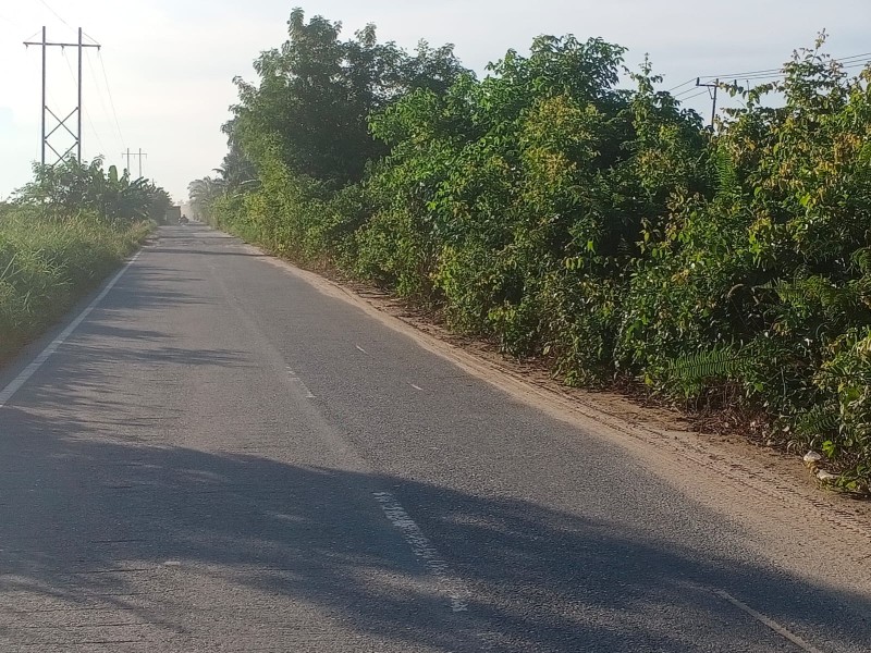 Bahu Jalan Lintas Kubu Dipenuhi Semak Belukar, Warga Minta PHR Segera Lakukan Pembersihan