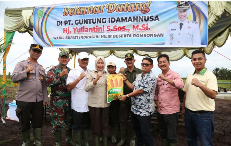 Dukung Swasembada Pangan, Wabup Inhil Hadiri Penanaman Jagung Serentak