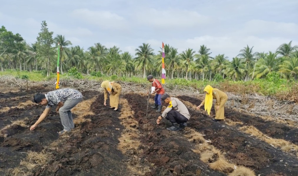 Pengecekan Tanaman Jagung Pipil Kuartal I 2026 di Wilayah Hukum Polsek Rangsang Berjalan Lancar